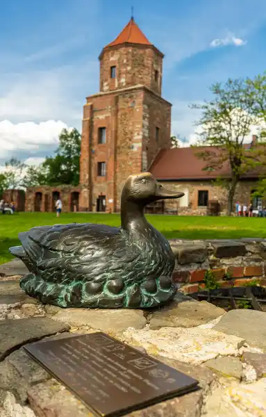zlota kaczka toszek 149