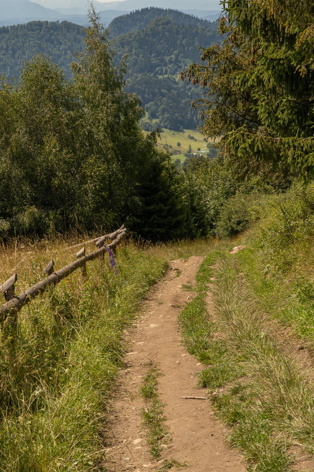 panorama-laki-bryjarka-szczawnica