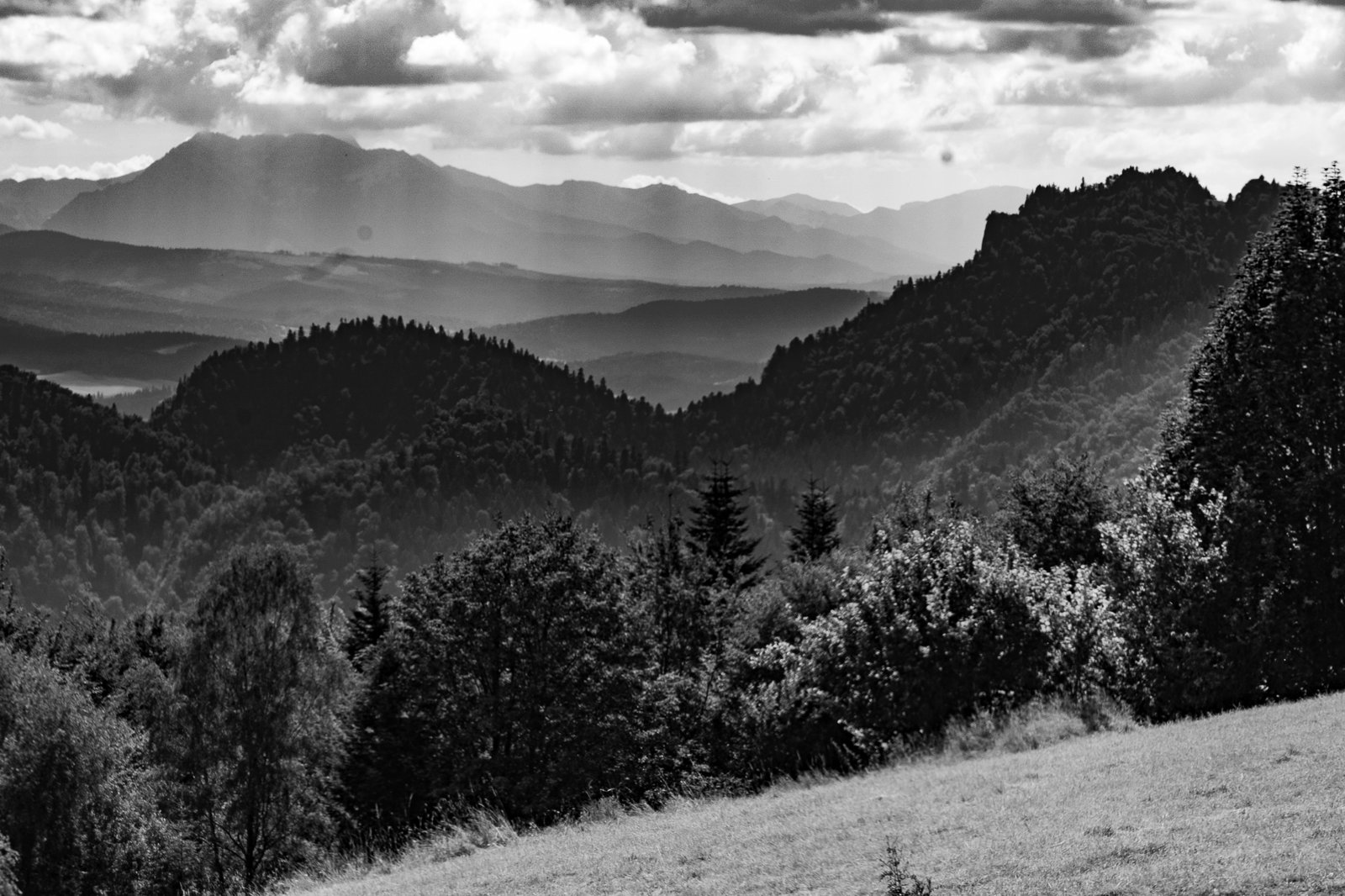 tor-saneczkowy-palenica-szczawnica