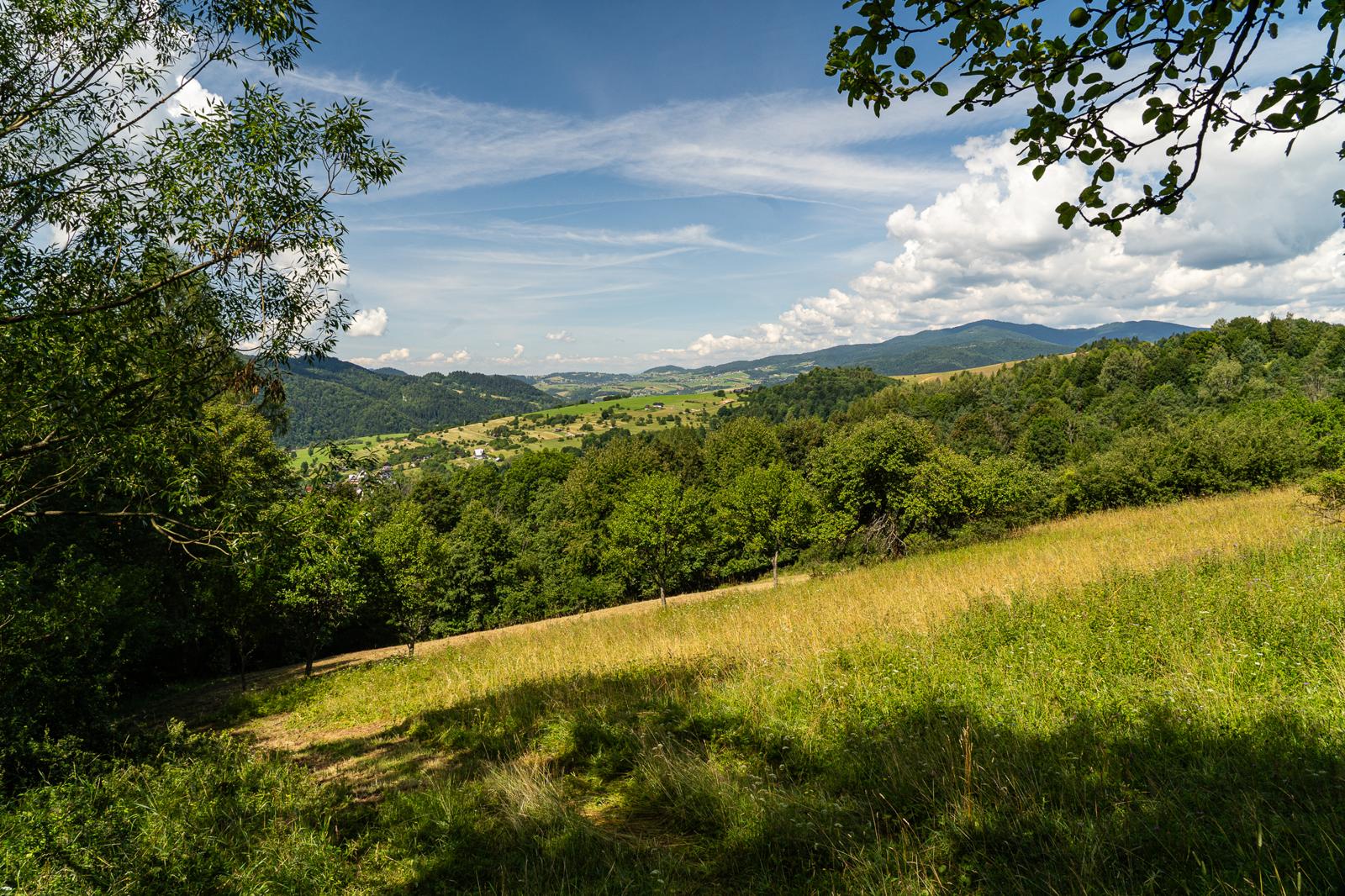widok-z-bryjarki-dolina-szczawnica